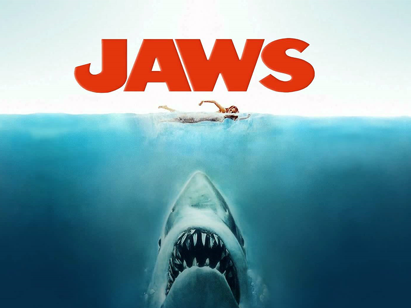 Jaws 800x600 1